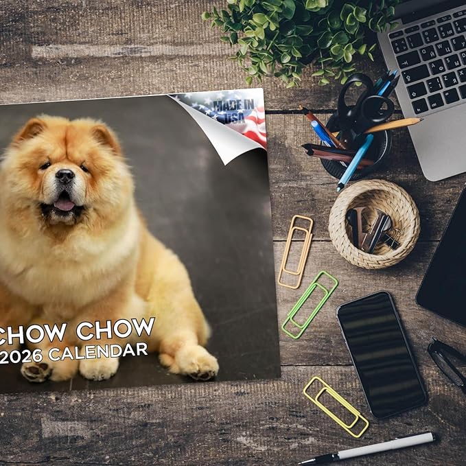 2025 2026 Chow Chow Calendar - Dog Breed Monthly Wall Calendar - 12" x 18" Open - Thick No-Bleed Paper - Giftable - Academic Teacher's Planner Calendar Organizing & Planning - Made in USA
