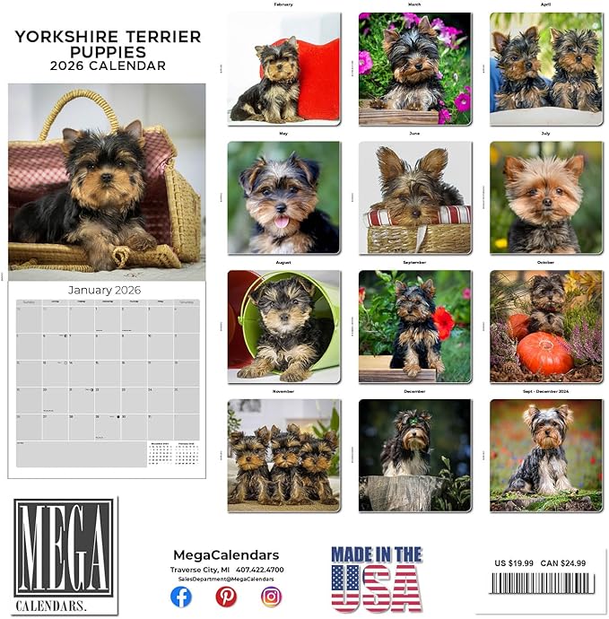 Yorkshire Terrier Puppies Calendar 2026 by MegaCalendars – Monthly Dog Breed Wall Calendar, Made in USA