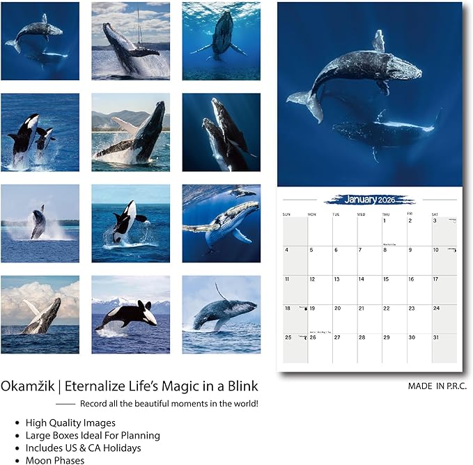 2026 Wall Calendar Whale Planner Calendar, Hangable Monthly Wall Calendar with Large Blocks for Organizing & Planning, Academic Schedule, Home, Office & family, Thick & Sturdy Paper (12"x24" Open)
