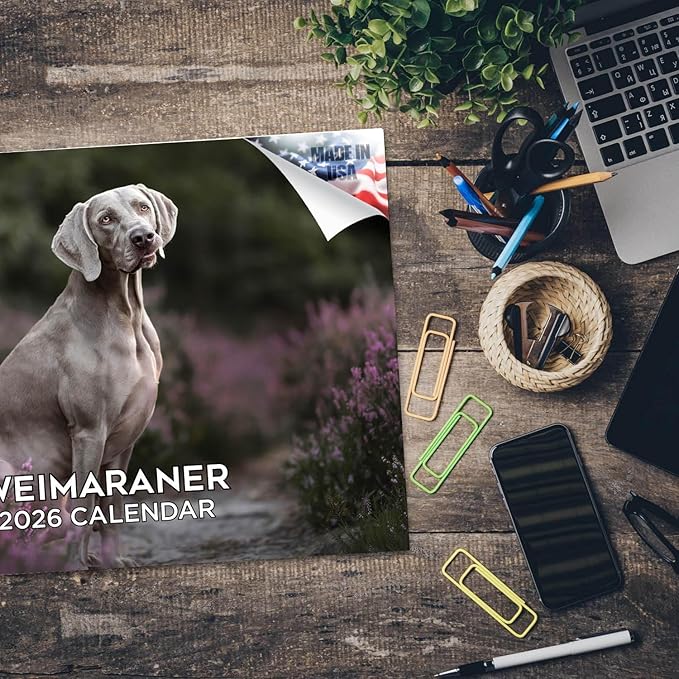 2025 2026 Weimaraner Calendar - Dog Breed Monthly Wall Calendar - 12" x 18" Open - Thick No-Bleed Paper - Giftable - Academic Teacher's Planner Calendar Organizing & Planning - Made in USA