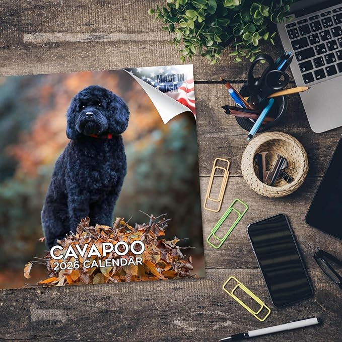 Cavapoo Calendar 2026 by MegaCalendars – Monthly Dog Breed Wall Calendar, Made in USA