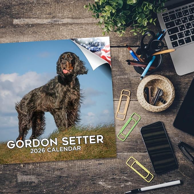 Gordon Setter Calendar 2026 by MegaCalendars – Monthly Dog Breed Wall Calendar, Made in USA