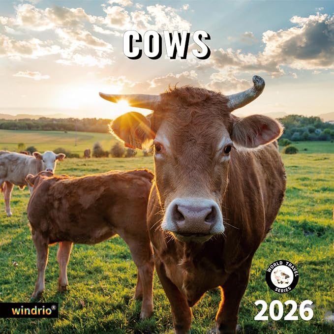 2026 Wall Calendar,Calendar 2026, November 2025 - December 2026, Wall Calendar Cows, 12" x 24" Opened,Full Page Months Thick & Sturdy Paper for Calendar Organizing & Planning