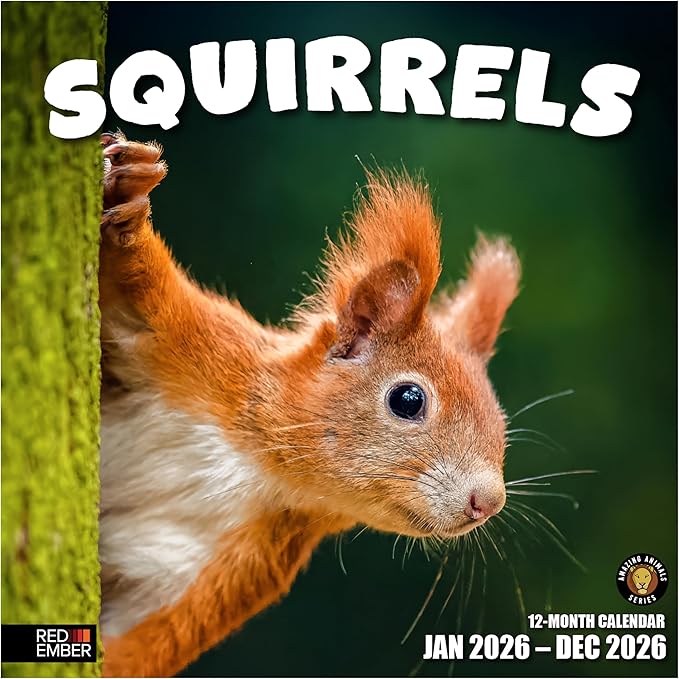 RED EMBER Select - Squirrels 2026 Wall Calendar 12 Month | 12" x 24" Open | Thick & Sturdy Paper | Giftable | Funny Animal Calendar 2026