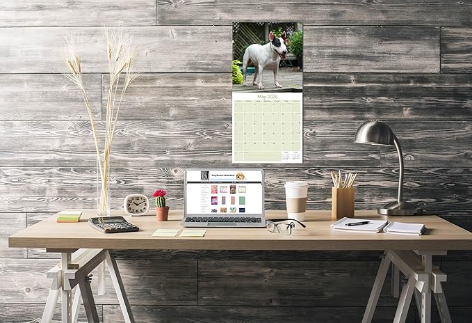 Bull Terrier Calendar 2026 by MegaCalendars – Monthly Dog Breed Wall Calendar, Made in USA