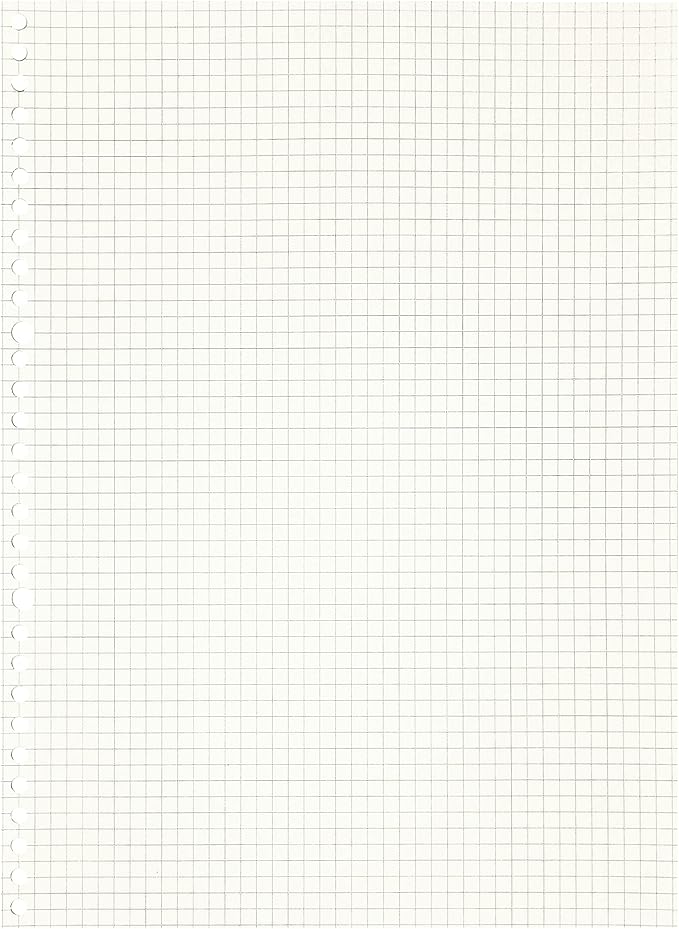 Zelten 2 Pack A4 90 Sheets/180 Pages Squared Loose Leaf Punched Paper Refills Paper for 30 Hole Binder Personal Organizer Diary Notebook Refillable Planner