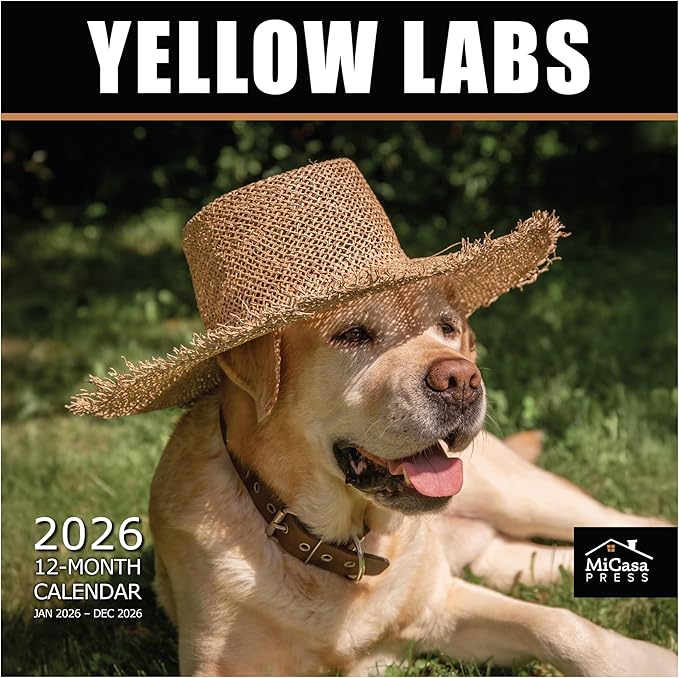 MICASA PRESS Yellow Labs 2026 Wall Calendar 12 Month | 12" x 24" Open | Thick & Sturdy Paper | Giftable | Cute Labrador Retriever Puppy Dog Calendar 2026