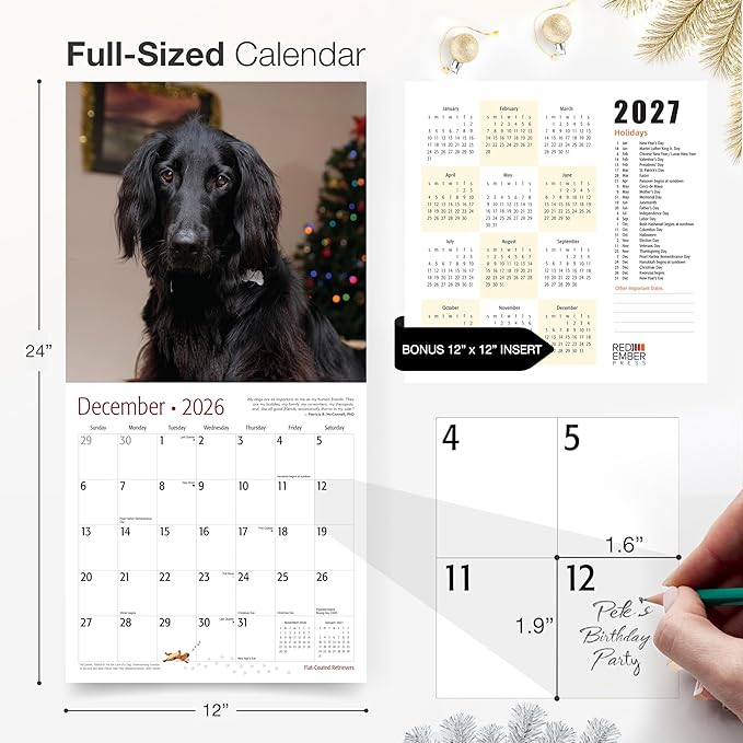 RED EMBER Flat-Coated Retrievers 2026 Wall Calendar 12 Month | 12" x 24" Open | Thick & Sturdy Paper | Giftable | Cute Puppy Dog Calendar 2026