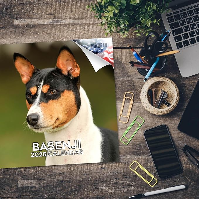 Basenji Calendar 2026 by MegaCalendars – Monthly Dog Breed Wall Calendar, Made in USA