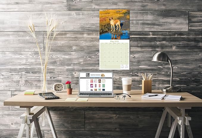 Rhodesian Ridgeback Calendar 2026 by MegaCalendars – Monthly Dog Breed Wall Calendar, Made in USA
