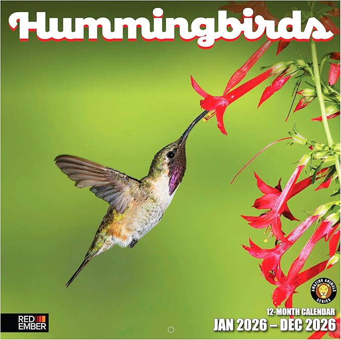 RED EMBER Hummingbirds 2026 Wall Calendar 12 Month | 12" x 24" Open | Thick & Sturdy Paper | Giftable | Bird Calendar 2026