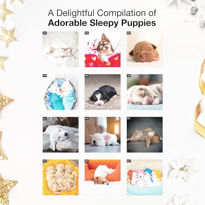 RED EMBER Pooped Puppies 2026 Mini Wall Calendar 12 Month | 7" x 14" Open | Thick & Sturdy Paper | Giftable | Cute Funny Puppy Dog Calendar 2026