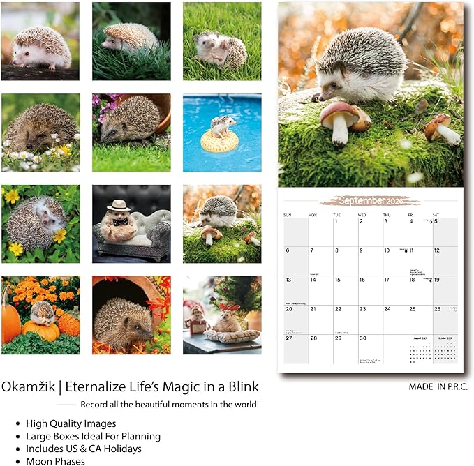 Wall Calendar 2026 Planner Calendar - Hedgehog Hangable Monthly Wall Calendar with Large Blocks for Organizing & Planning, Academic Schedule, Home, Office & family, Thick & Sturdy Paper (12"x24" Open)