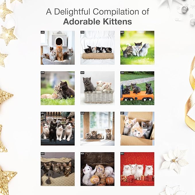 RED EMBER Kitten Party 2026 Wall Calendar 12 Month | 12" x 24" Open | Thick & Sturdy Paper | Giftable | Cute Kitten Cat Calendar 2026