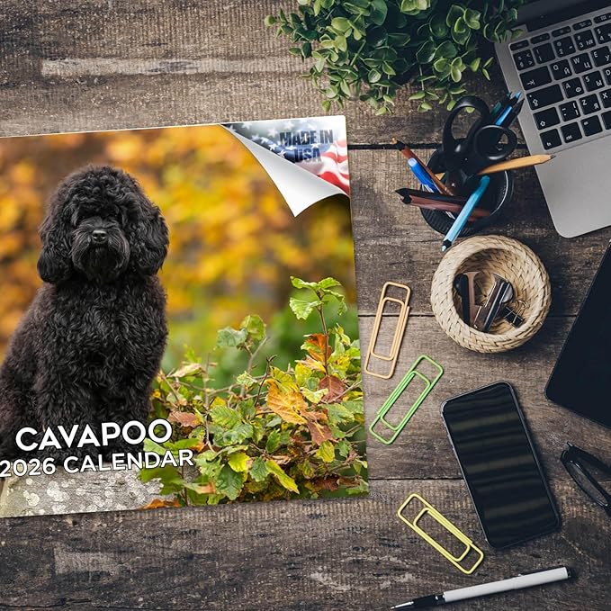 2025 2026 Cavapoo Calendar - Dog Breed Monthly Wall Calendar - 12" x 18" Open - Thick No-Bleed Paper - Giftable - Academic Teacher's Planner Calendar Organizing & Planning - Made in USA