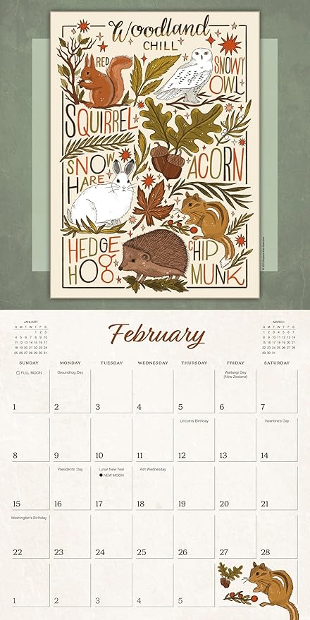 The Natural World 2026 Wall Calendar, 16-Month Nature Art Calendar by Stephanie Kate Baxter, 12" x 12", 2026 Wall Planner and Organizer with Large Grids, Botanical Illustrations