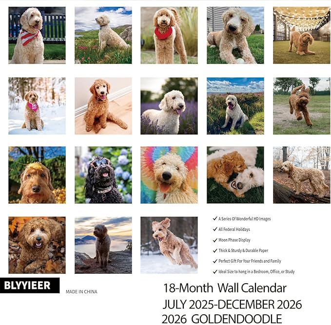 2025-2026 Wall Calendar,Goldendoodle Wall Calendar, 12" x 24" Open,Family Planner Calendar Organizer with Goldendoodle Images, for Dogs Lovers