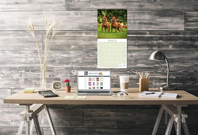 Miniature Pinscher Calendar 2026 by MegaCalendars – Monthly Dog Breed Wall Calendar, Made in USA