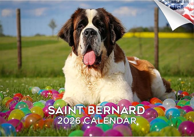 2025 2026 Saint Bernard Calendar - Dog Breed Monthly Wall Calendar - 12" x 18" Open - Thick No-Bleed Paper - Giftable - Academic Teacher's Planner Calendar Organizing & Planning - Made in USA
