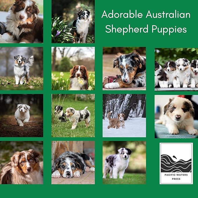 Australian Shepherd Puppy 2026 Wall Calendar | 12" x 24" Open | Dog Photography Thick & Sturdy Paper for Planning | Office Kitchen Decor or Gift | Pacific Waters Press (Australian Shepherd Puppies)