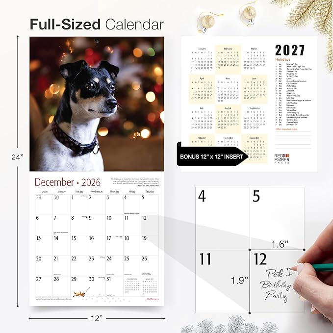 RED EMBER Rat Terriers 2026 Wall Calendar 12 Month | 12" x 24" Open | Thick & Sturdy Paper | Giftable | Cute Puppy Dog Calendar 2026