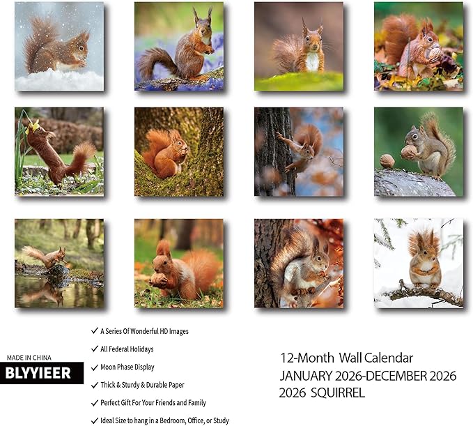 2026 Wall Calendar,Squirrel Calendar 2026,Squirrel Monthly Wall Calendar, 12" x 24" Open,Family Planner Calendar, Home & Office Organizer,Hangable