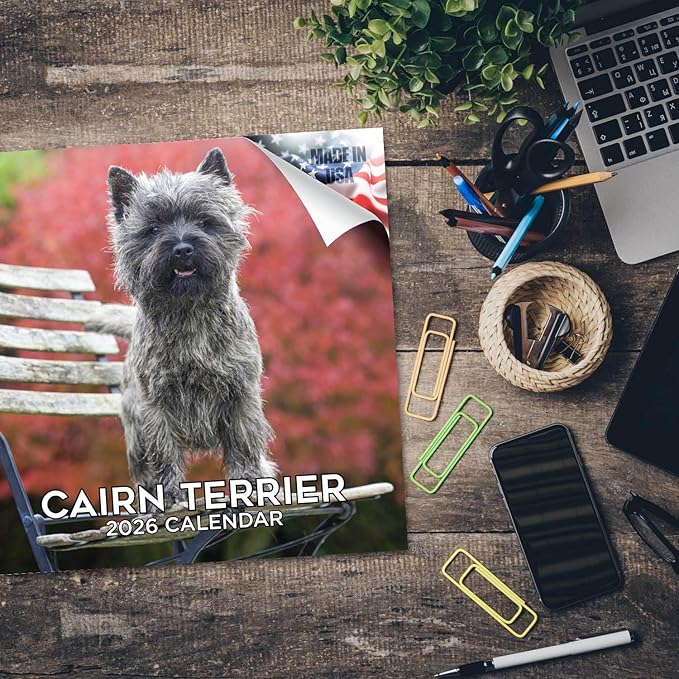 Cairn Terrier Calendar 2026 by MegaCalendars – Monthly Dog Breed Wall Calendar, Made in USA