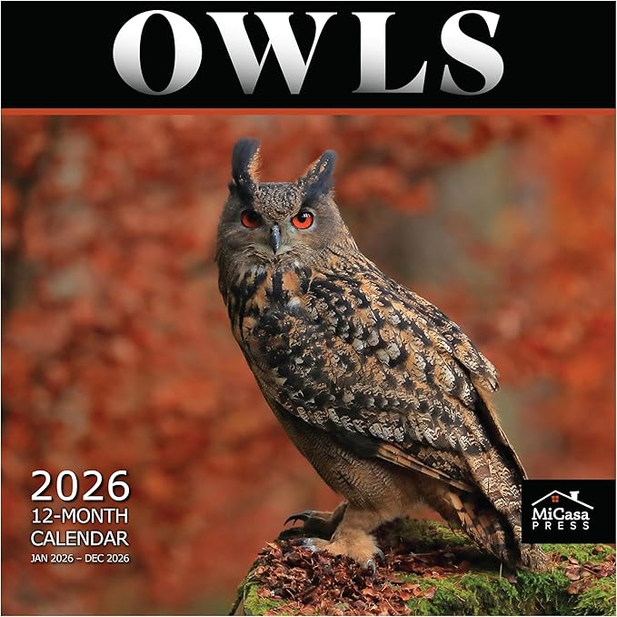 MICASA PRESS Owls 2026 Wall Calendar 12 Month | 12" x 24" Open | Thick & Sturdy Paper | Giftable | Birds of Prey Animal Calendar 2026