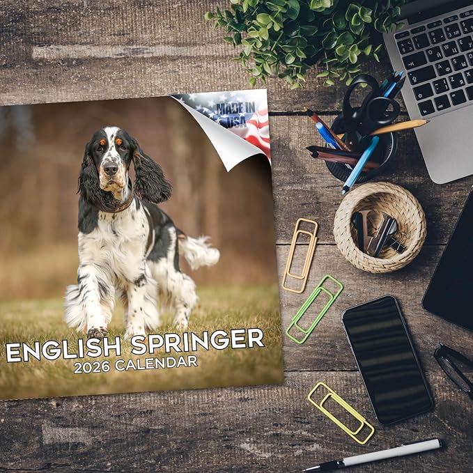 English Springer US Calendar 2026 by MegaCalendars – Monthly Dog Breed Wall Calendar, Made in USA