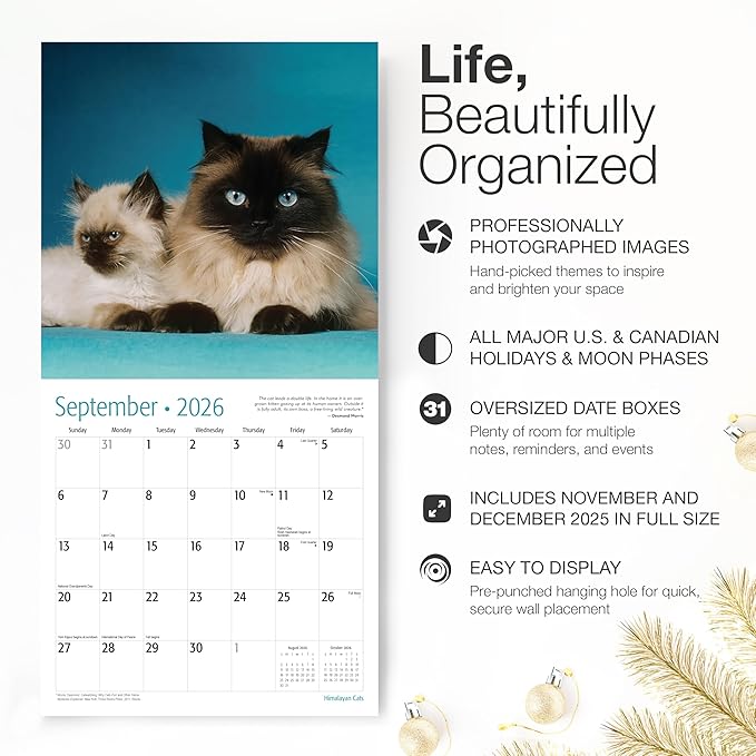 RED EMBER Himalayan Cats 2026 Wall Calendar 12 Month | 12" x 24" Open | Thick & Sturdy Paper | Giftable | Cute Kitten Cat Calendar 2026