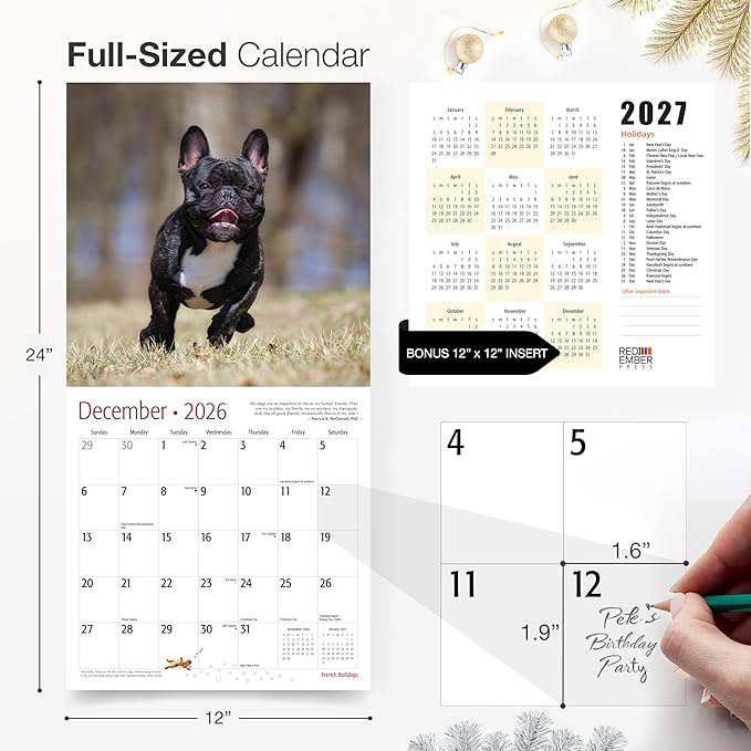 RED EMBER Select - French Bulldogs 2026 Wall Calendar 12 Month | 12" x 24" Open | Thick & Sturdy Paper | Giftable | Cute Frenchie Puppy Dog Calendar 2026