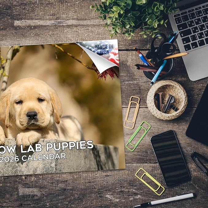 2025 2026 Labrador Pups Yellow Calendar - Dog Breed Monthly Wall Calendar - 12" x 18" Open - Thick No-Bleed Paper - Giftable - Academic Teacher's Planner Calendar Organizing & Planning - Made in USA