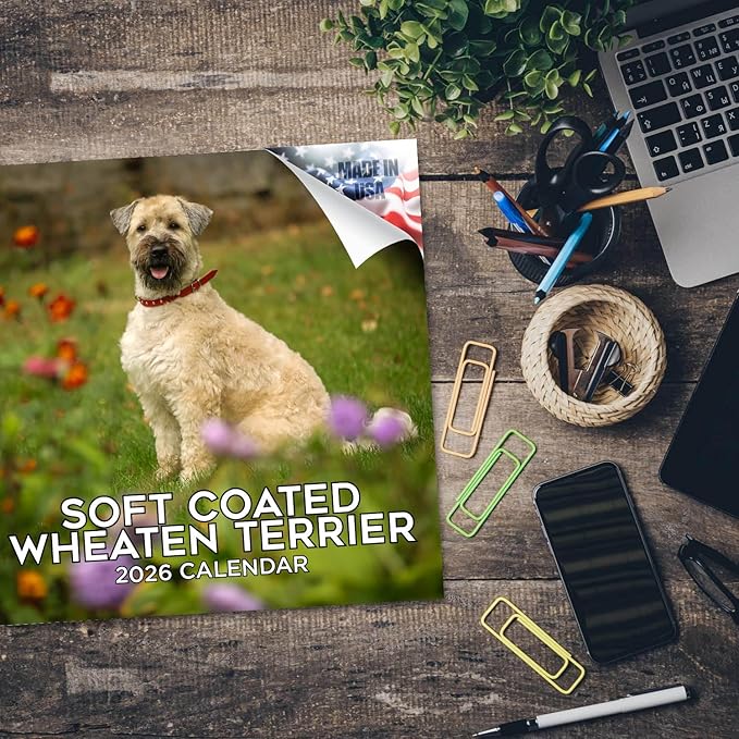 Softcoat Wheaten Terrier Calendar 2026 by MegaCalendars – Monthly Dog Breed Wall Calendar, Made in USA