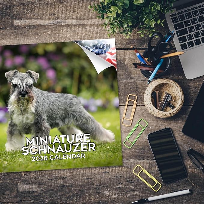 Miniature Schnauzer Calendar 2026 by MegaCalendars – Monthly Dog Breed Wall Calendar, Made in USA