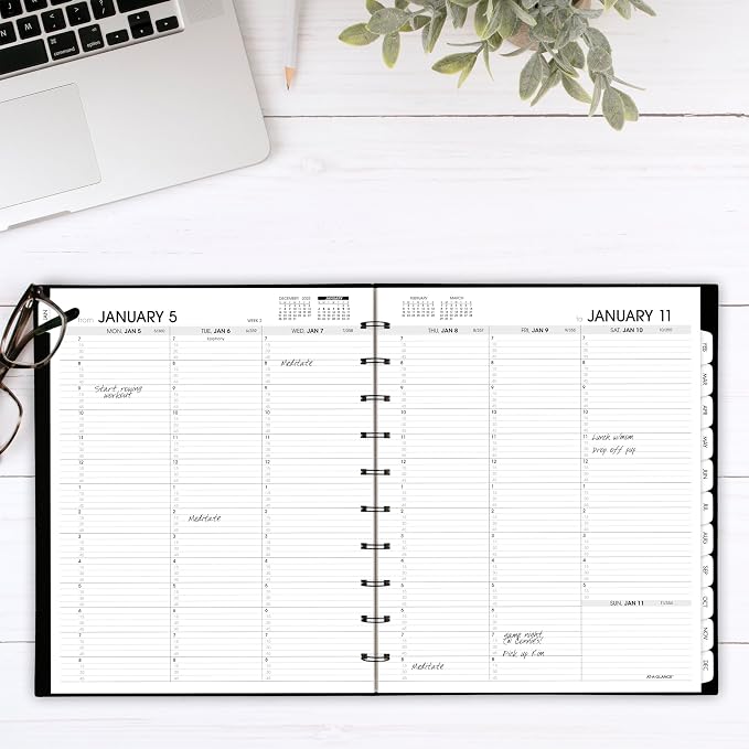 AT-A-GLANCE 2026 Appointment Book Planner, Weekly & Monthly, 8.75" x 11", Large, Move-A-Page, Black (70950E0526)