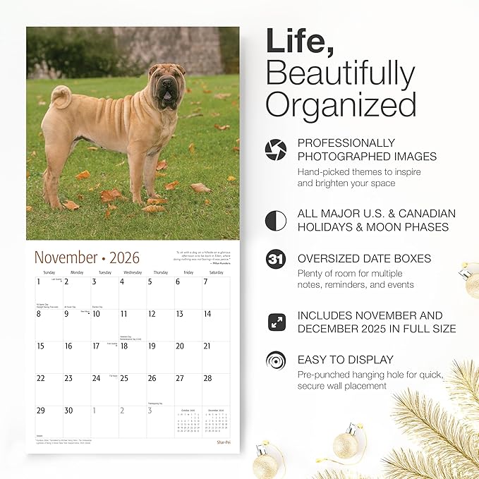 RED EMBER Shar-Pei 2026 Wall Calendar 12 Month | 12" x 24" Open | Thick & Sturdy Paper | Giftable | Cute Puppy Dog Calendar 2026