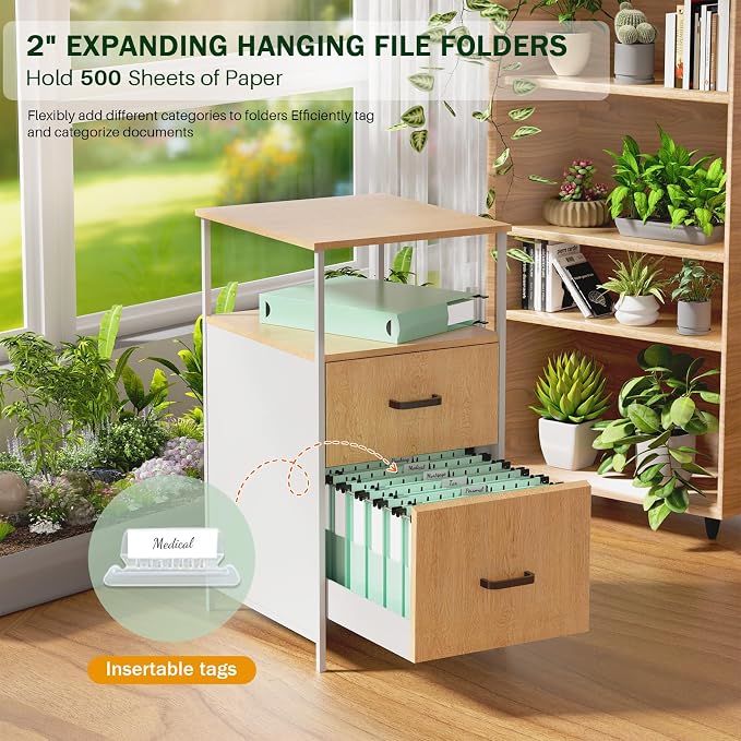 12 Pack Hanging File Folders, Filing Folders Hanging Reinforced, Plastic Hanging Folder 2 Inch Expansion, Accordion File Folders Hanging Folders Box Filing Folders with 1/5 Tabs - Letter Size