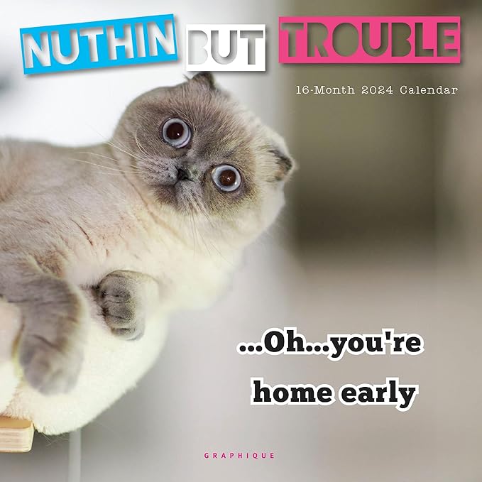 Graphique 2024 Nuthin' But Trouble Mini Wall Calendar | 7” x 7” | Thick Paper | Home & Office Organizer | Large Monthly Grid | 3 Languages & Marked Holidays | 4 Month Preview Page for 2025