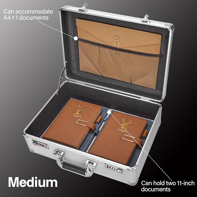 File Organizer Storage Box - 16.9 x 12.2 x 6.1 Inch Large, Portable Locking Storage Totes with Dual Combination Locks, Lock Boxes for Personal Items, Cash, Briefcase - Silver