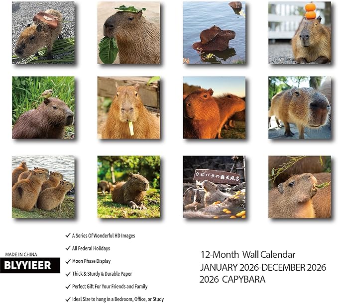 2026 Wall Calendar,Capybara Calendar 2026, Monthly Wall Calendar, 12" x 24" Open,Family Planner Calendar Organizer with funny capybara Images