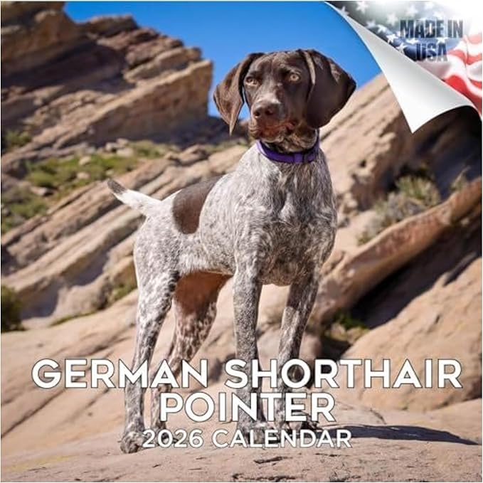 German Shorthair Pointer Calendar 2026 by MegaCalendars – Monthly Dog Breed Wall Calendar, Made in USA