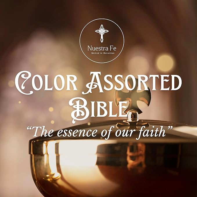 la Biblia latinoamericana letra grande - Biblia latinoamericana catolica - Biblia catolica en español letra grande - biblia en español letra grande - bible in spanish biblia catolica latinoamericana