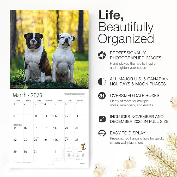 RED EMBER English and American Bulldogs 2026 Wall Calendar 12 Month | 12" x 24" Open | Thick & Sturdy Paper | Giftable | Cute Puppy Dog Calendar 2026