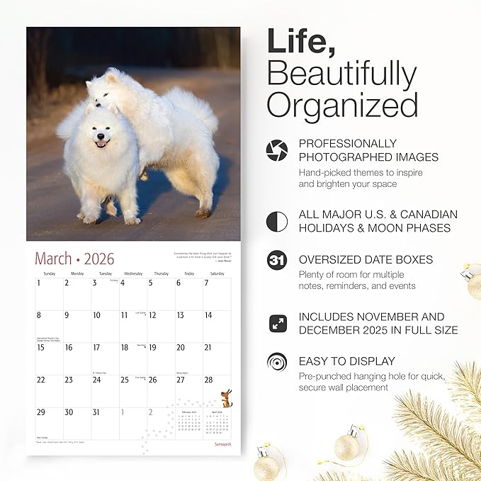 RED EMBER Samoyeds 2026 Wall Calendar 12 Month | 12" x 24" Open | Thick & Sturdy Paper | Giftable | Cute Puppy Dog Calendar 2026