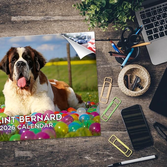 2025 2026 Saint Bernard Calendar - Dog Breed Monthly Wall Calendar - 12" x 18" Open - Thick No-Bleed Paper - Giftable - Academic Teacher's Planner Calendar Organizing & Planning - Made in USA