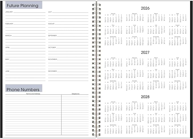 AT-A-GLANCE 2027 Planner, Monthly, 14-Month Dec-Jan, 8" x 12", DayMinder, Black (SK20027)