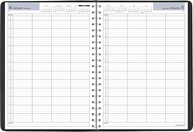 AT-A-GLANCE 2027 Appointment Book Planner, Daily Group Planner, 8" x 11", Four Person, Quarter-Hour, DayMinder, Black (G5600027)