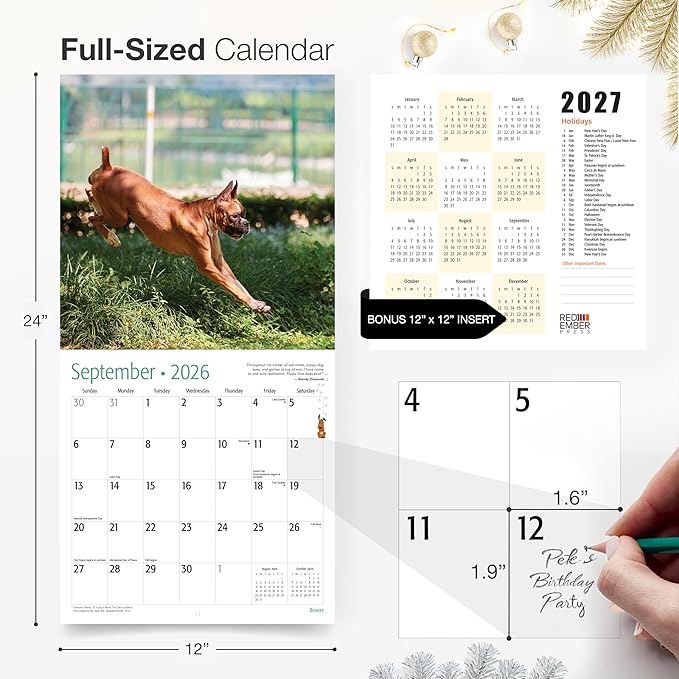 RED EMBER Select - Boxers 2026 Wall Calendar 12 Month | 12" x 24" Open | Thick & Sturdy Paper |Giftable | Cute Puppy Dog Calendar 2026
