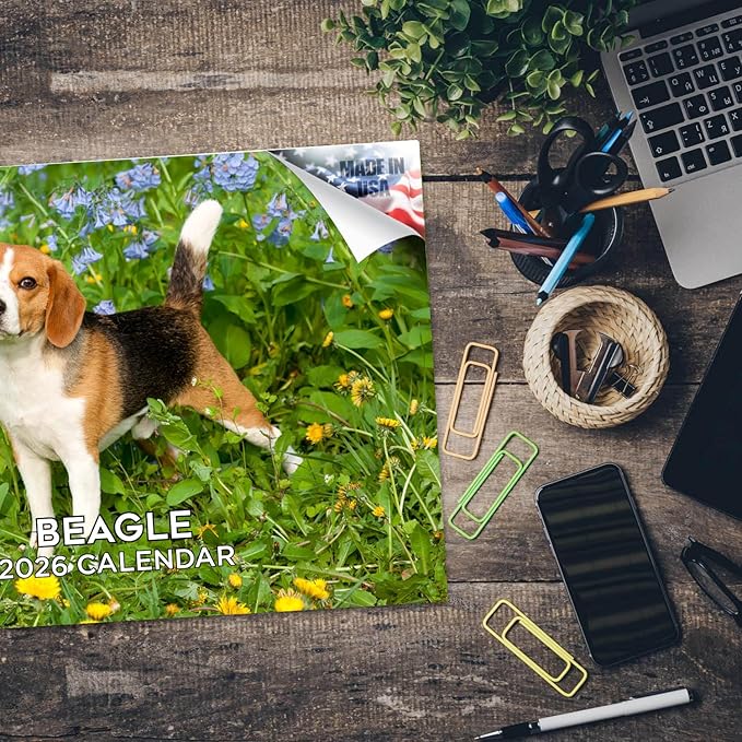 2025 2026 Beagle Calendar - Dog Breed Monthly Wall Calendar - 12" x 18" Open - Thick No-Bleed Paper - Giftable - Academic Teacher's Planner Calendar Organizing & Planning - Made in USA