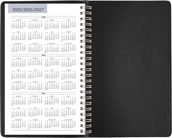 AT-A-GLANCE 2026 Appointment Book Planner, Weekly, 5" x 8", Small, DayMinder, Black (G2000026)